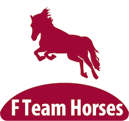 F Team Horses